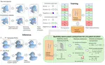 The Good, the Bad, and the Template: Contrastive Anomaly Detection in 3D